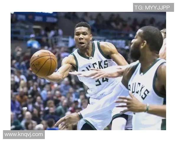 雄鹿队实力雄厚，不容小觑